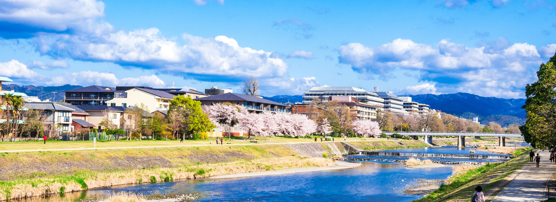 株式会社リアール